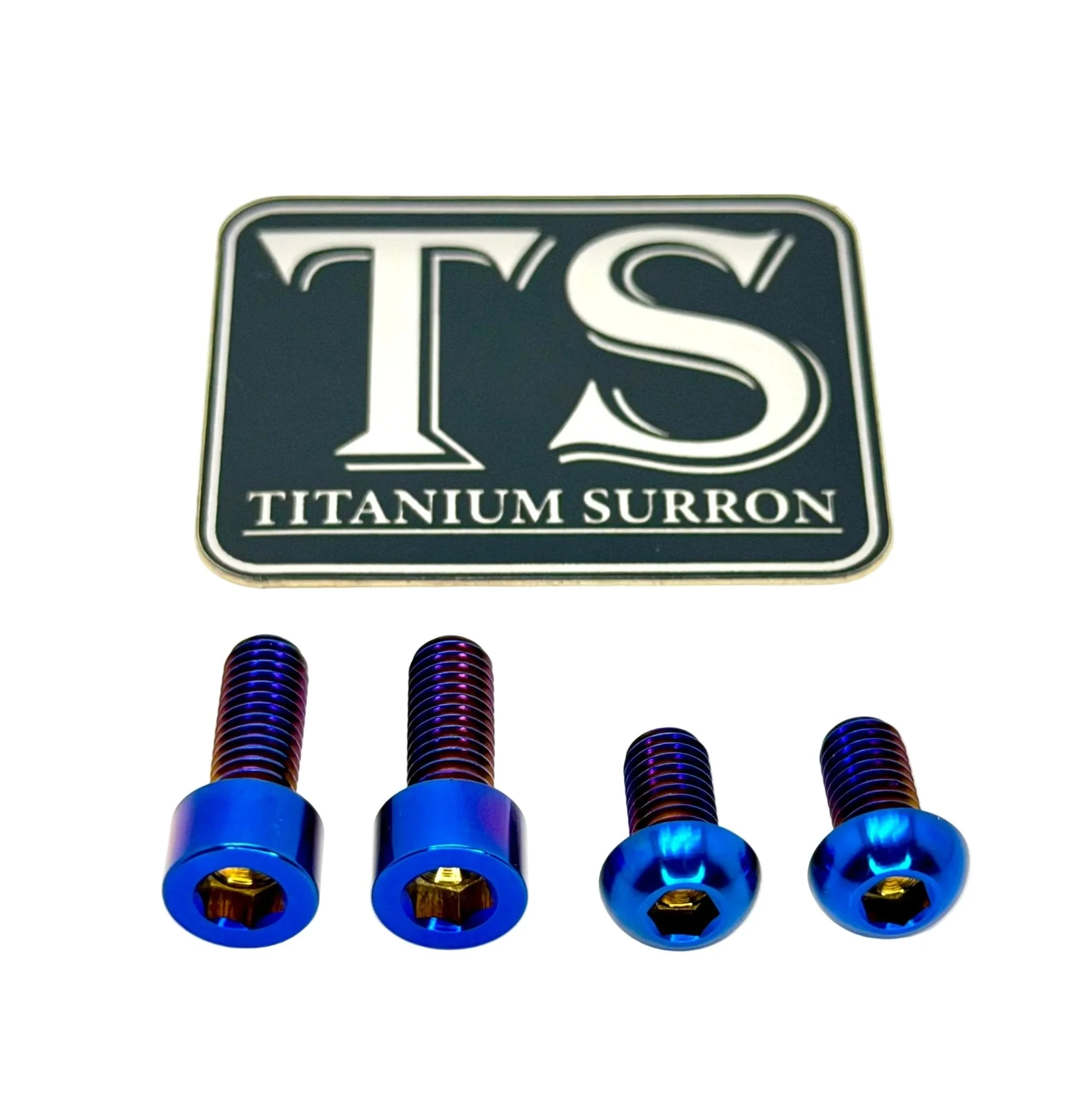 Surron LBX Controller Mount bolts