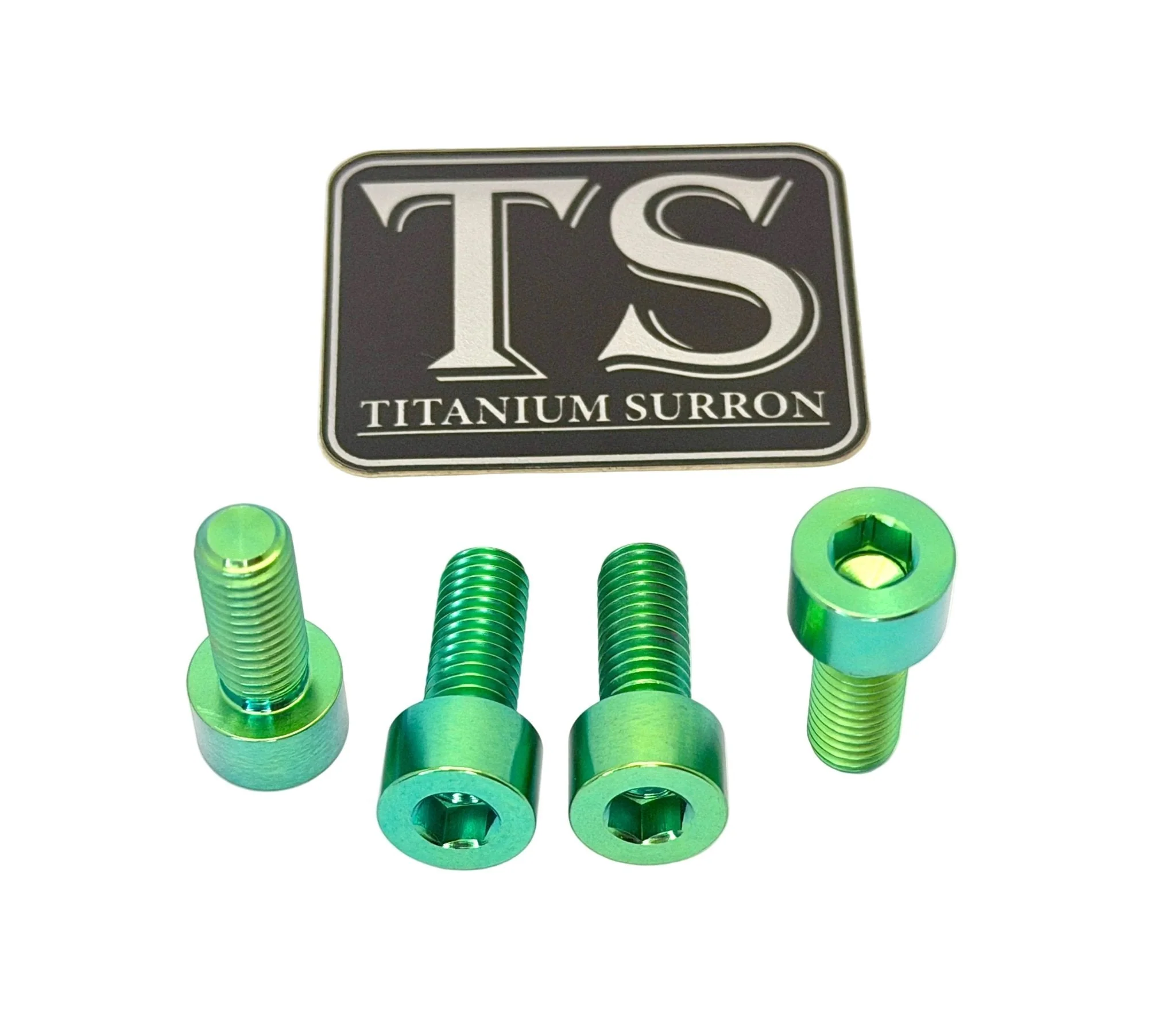 Titanium Peg Bracket Bolts - Surron LBX and Segway (Set of 4)